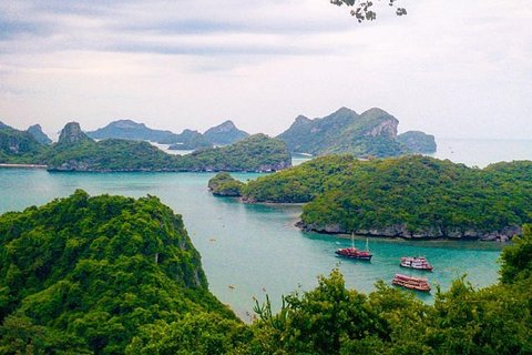 Image of Surat Thani